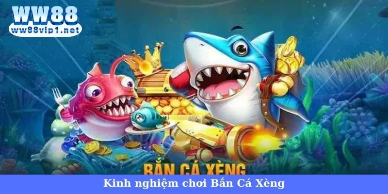 Hướng dẫn chơi Bắn Cá Xèng cơ bản nhất cho tân binh