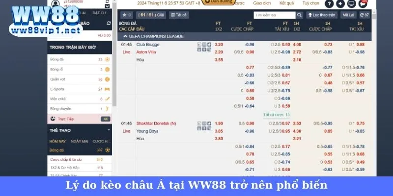 Giải mã kèo châu Á tại nhà cái WW88