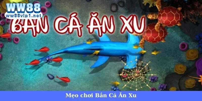 Chiến thuật chơi Bắn Cá Ăn Xu chắc thắng